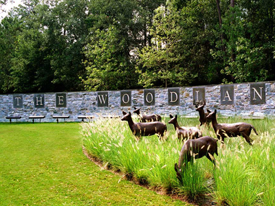 The-Woodlands1